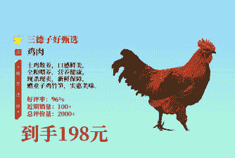 哪个牌子的土鸡最好养殖