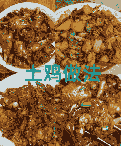 湖北土鸡怎么养殖的好吃