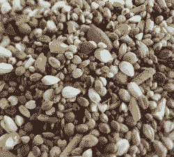 养殖土鸡用什么鸡料