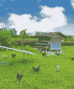 珠海土鸡养殖基地在哪里