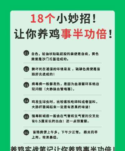土鸡养殖如何节约成本