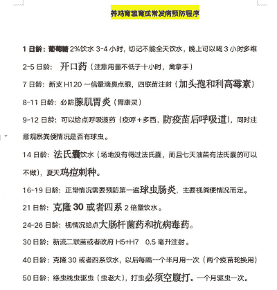 土鸡养殖技术和防疫措施