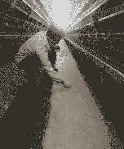 土鸡养殖场如何消毒