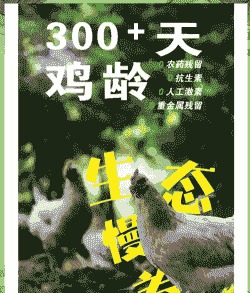 土鸡养殖广告怎么做