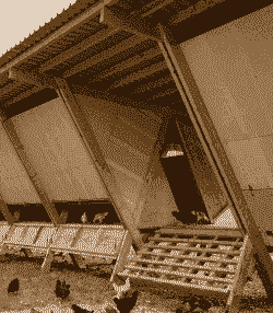 养殖土鸡如何搭建棚屋子