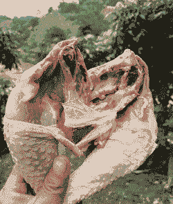 土鸡养殖什么营养好吃些