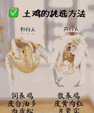 生态散养土鸡怎么养殖