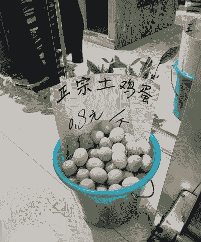 养殖土鸡蛋卖赚钱吗