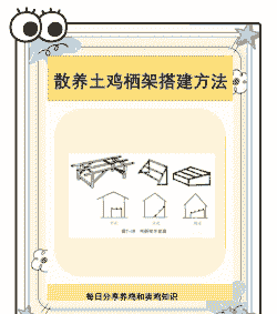 养殖土鸡怎么搭棚好养