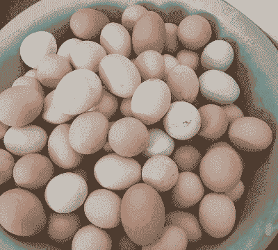 自家养殖新鲜土鸡蛋