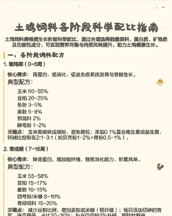 养殖土鸡的饲料配比表格