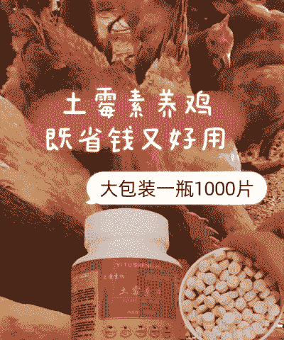 土鸡养殖可以用药吗