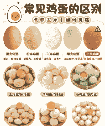 绿壳土鸡蛋养殖方法