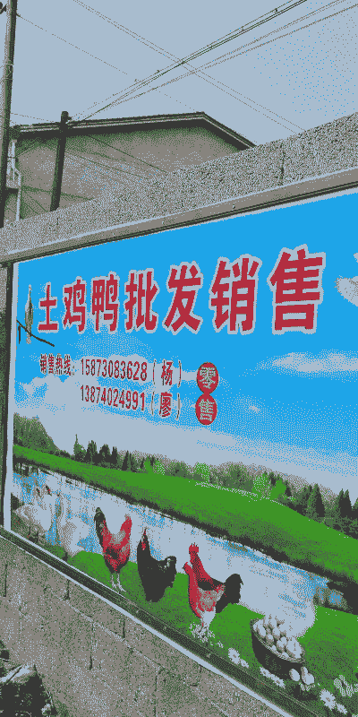 土鸡养殖农场名字怎么取