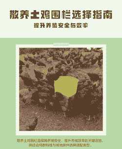 土鸡养殖怎么围围栏好呢