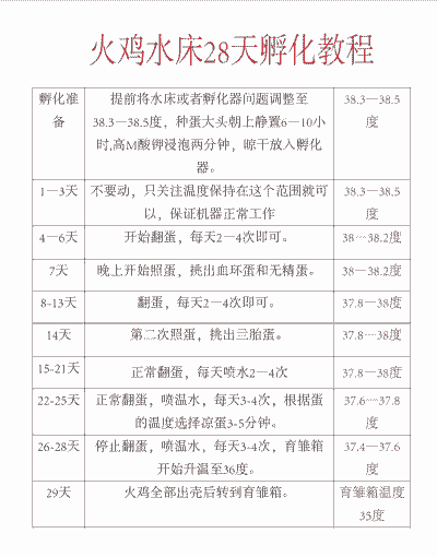 孵化出来的土鸡怎么养殖