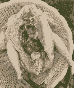 养殖的土鸡到哪宰杀好呢