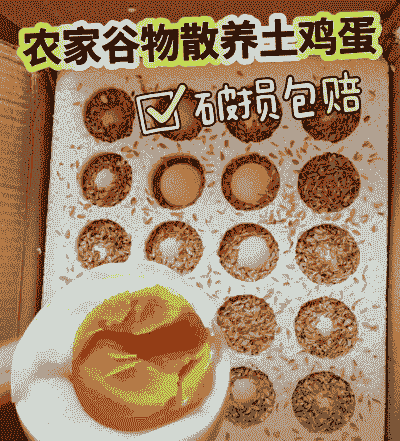 怎样养殖优质土鸡蛋黄