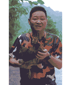 农民土鸡养殖大叔是谁啊