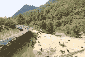 惠水农村土鸡养殖基地在哪里