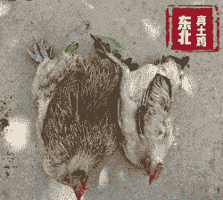 东北土鸡养殖利润多少钱
