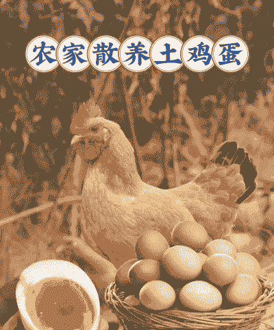土鸡蛋和养殖鸡蛋哪个好