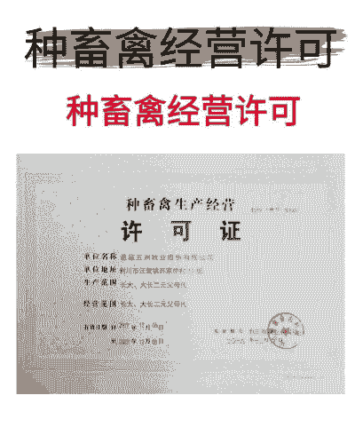 养殖土鸡需要办理什么证