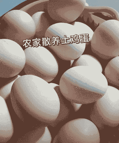 土鸡蛋黄怎么养殖方法