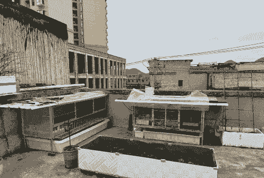 土鸡养殖场鸡舍怎么建