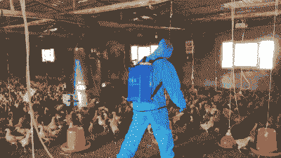 土鸡养殖场用什么消毒