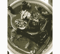 云县土鸡养殖收入多少钱