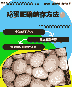 养殖场土鸡蛋如何存放