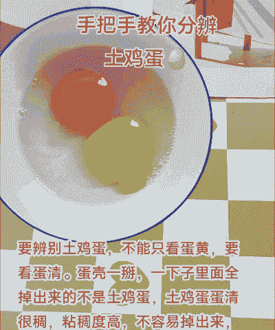怎么区分养殖蛋和土鸡蛋