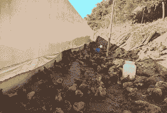 郧西县的土鸡养殖基地