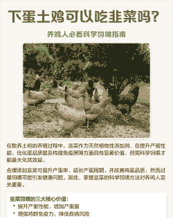 土鸡养殖多久能吃食物啊