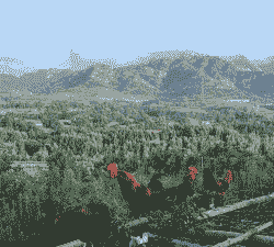 山东土鸡养殖基地有哪些