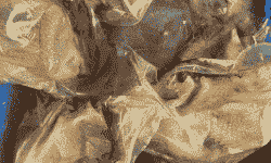 江汉土鸡养殖多久出栏好