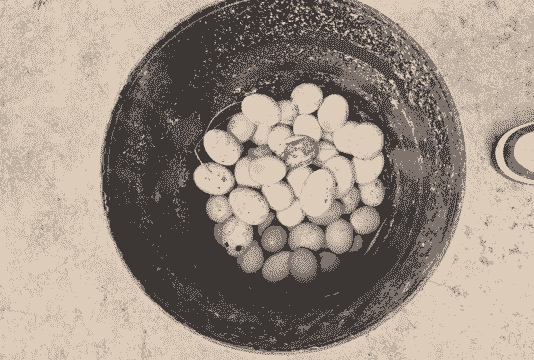 下雨天土鸡蛋怎么养殖好