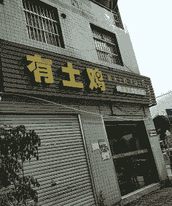 惠丰土鸡养殖园在哪里啊