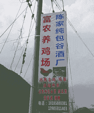 土鸡养殖场怎么卖赚钱的