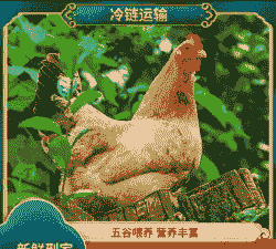 竹林养殖土鸡成本多少钱