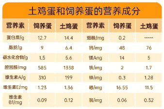 土鸡蛋和养殖场的营养