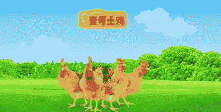 壹号土鸡是如何养殖的啊