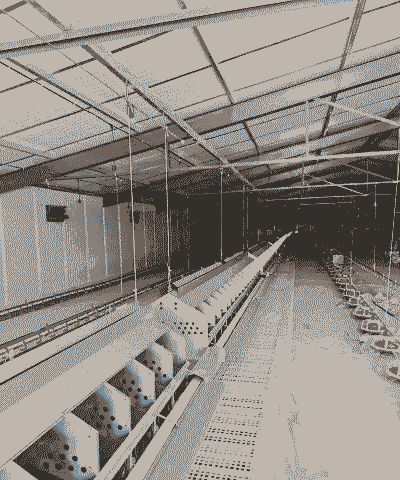 养殖土鸡孵化器怎么用的