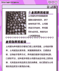 养殖鸡蛋和土鸡蛋营养哪个好