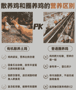 笼养土鸡养殖户注意事项