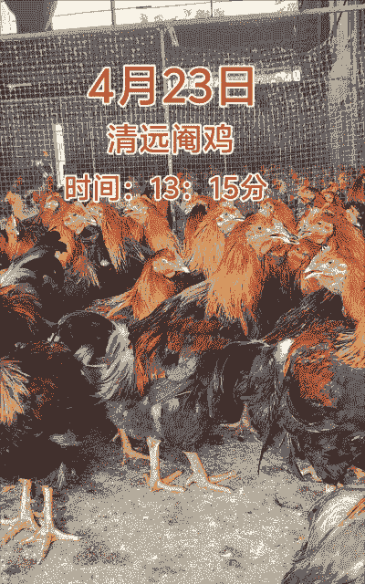 养殖土鸡一只利润有多少