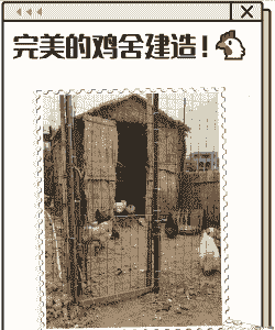 散养土鸡养殖场怎么建