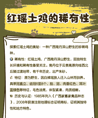 土鸡养殖户需要什么手续