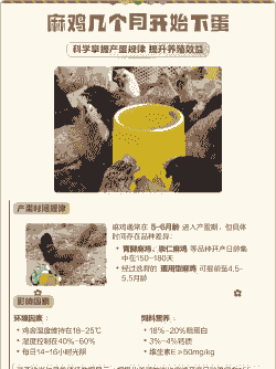 土鸡养殖要几个月下蛋多